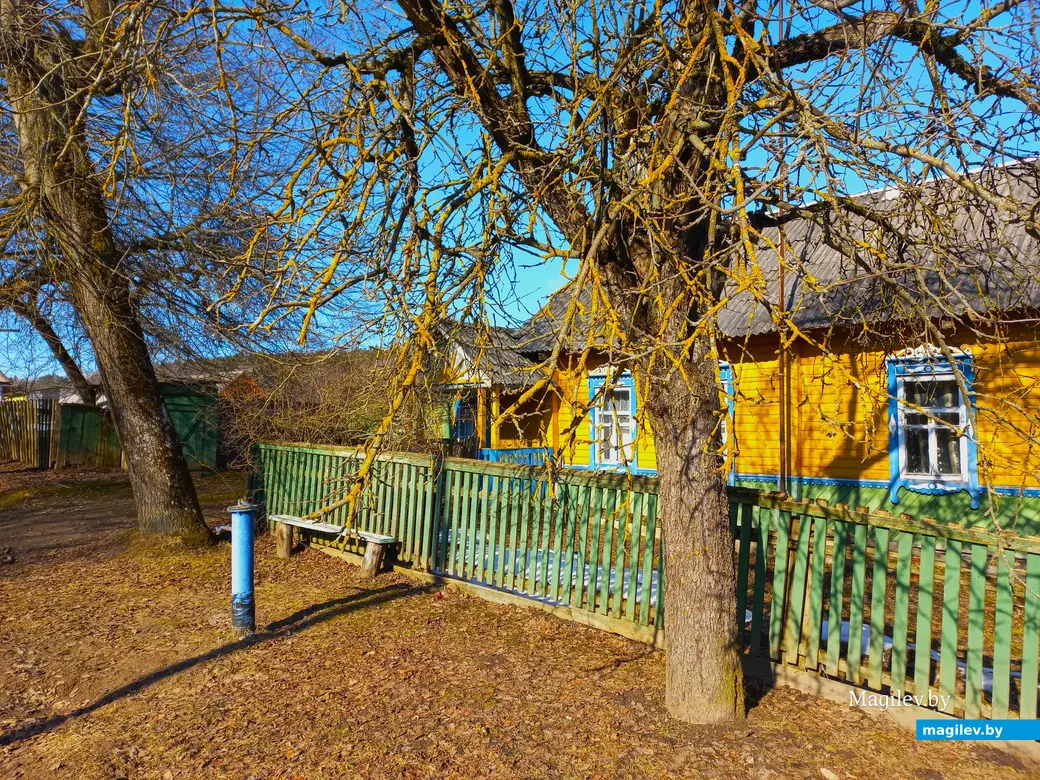 09.03.2024 г., Шкловский район, дер. Троица.