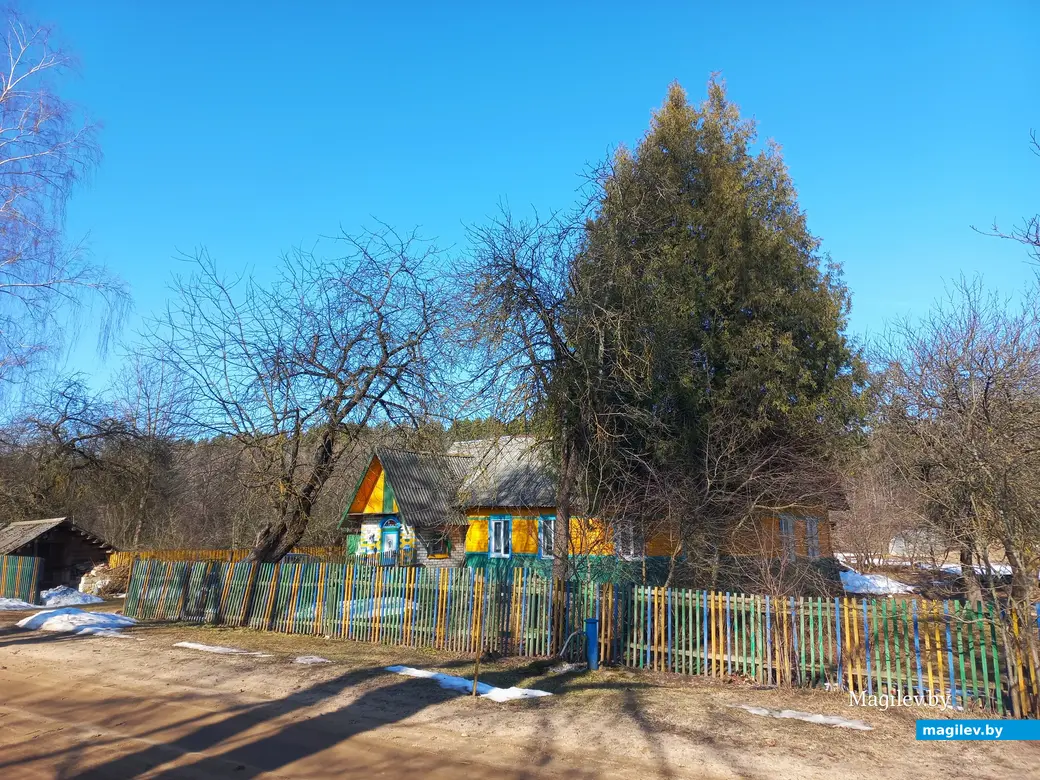 09.03.2024 г., Шкловский район, дер. Троица.