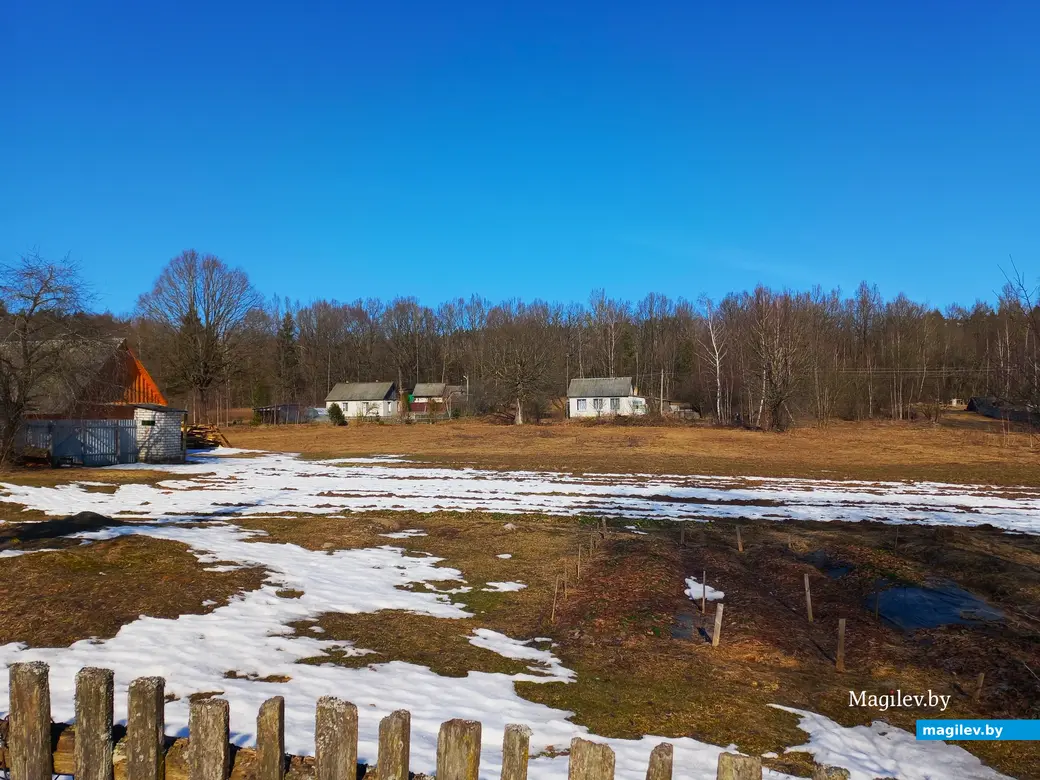 09.03.2024 г., Шкловский район, дер. Троица.