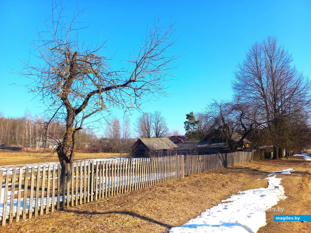 09.03.2024 г., Шкловский район, дер. Троица.