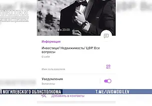 Могилевчанка «поиграла» на лжебирже. Потеряла около 17 тысяч рублей