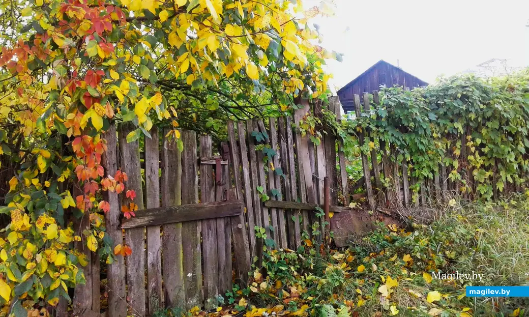 2010 год, Могилев, улица Чехова. Калитка и виднеющийся фронтон дома Дерибаса.