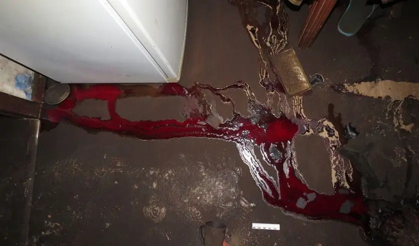 Фото: УГКСЭ по Гомельской области