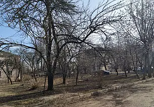 Снесут деревья: по улице Индустриальной в Могилеве планируют построить многоэтажку