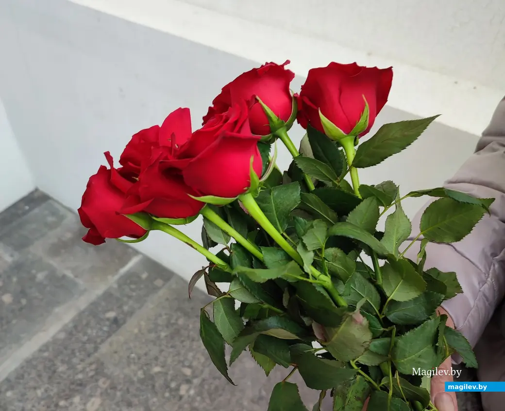 Жила для Бога, для костела и для людей. В Могилеве простились с Ириной Шляковой. 13 марта 2024 года.