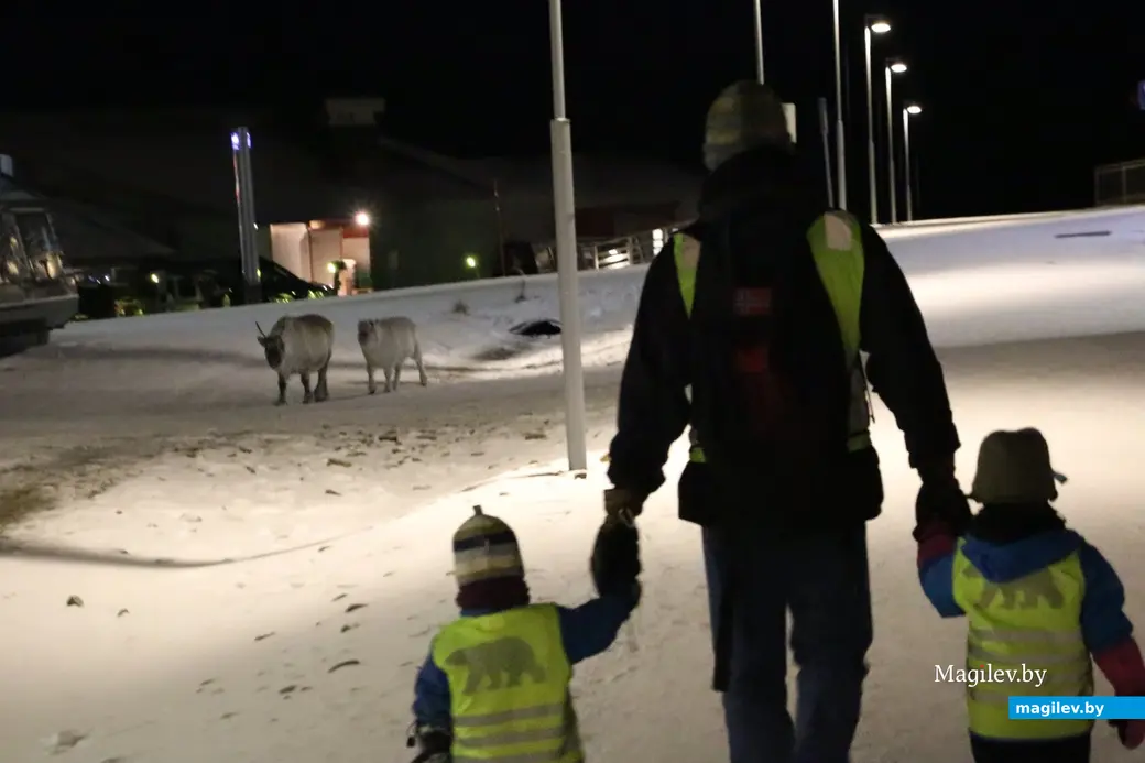 ноябрь, 2019 г. Шпицберген, Лонгйир.