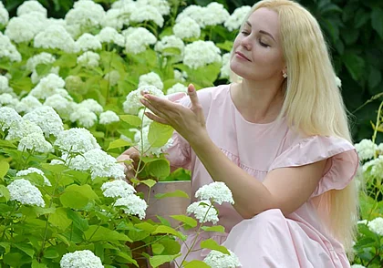 Новинки гортензии и популярные сорта
