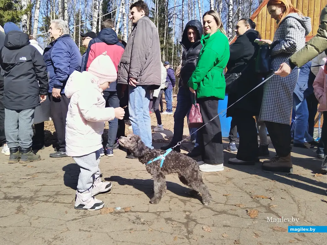 16.03.2024 г. Могилев. Печерский лесопарк. Масленица – 2024.