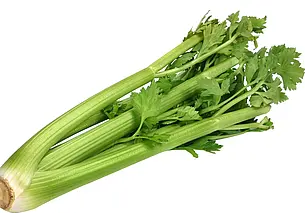 Врач назвала самые полезные весной продукты: особое внимание стоит обратить на сельдерей