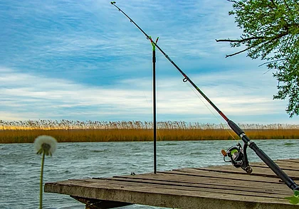 С 1 апреля в Могилевской области начнет действовать нерестовый запрет на лов рыбы