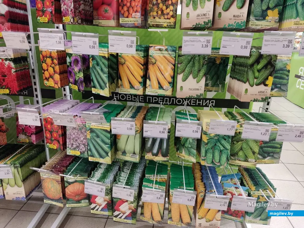 Март 2024 г. Могилев. Во сколько обойдется подготовка к дачному сезону