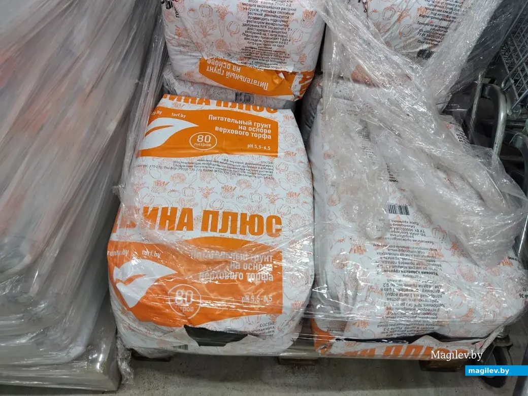 Март 2024 г. Могилев. Во сколько обойдется подготовка к дачному сезону