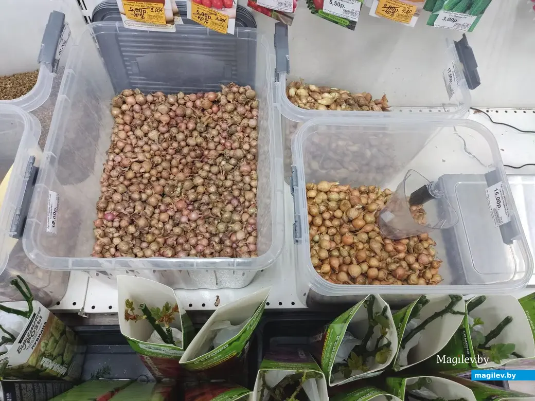 Март 2024 г. Могилев. Во сколько обойдется подготовка к дачному сезону