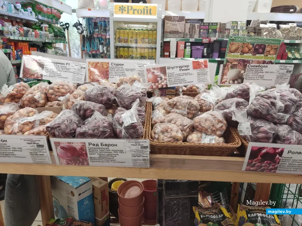 Март 2024 г. Могилев. Во сколько обойдется подготовка к дачному сезону