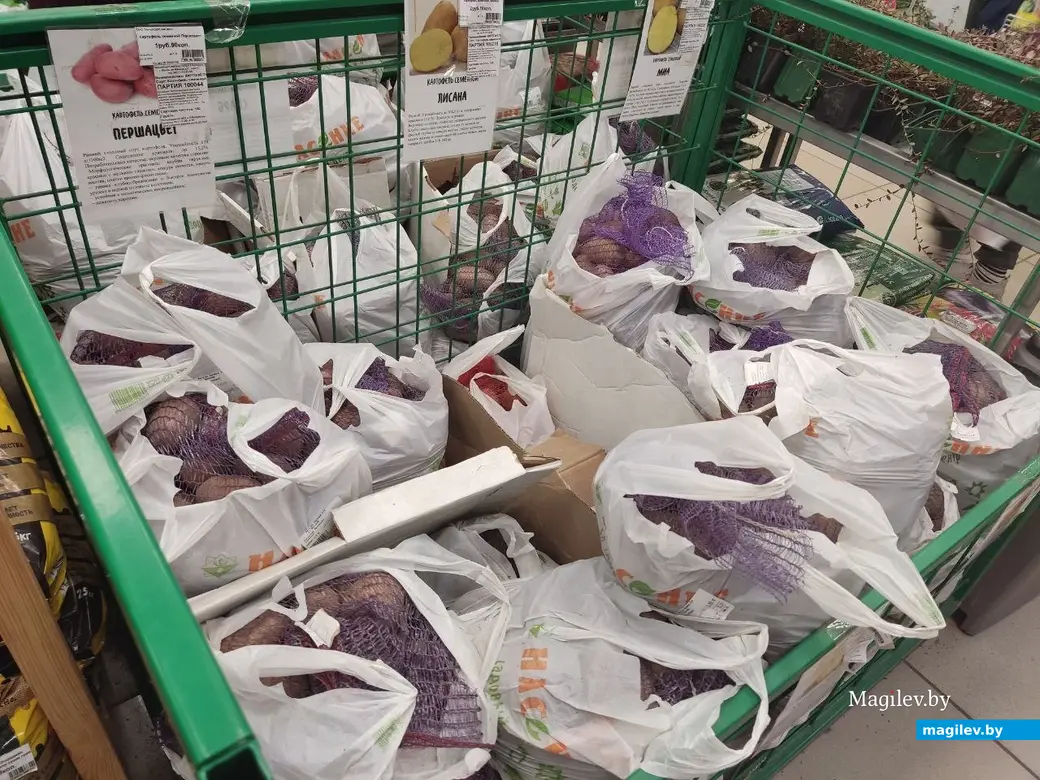 Март 2024 г. Могилев. Во сколько обойдется подготовка к дачному сезону