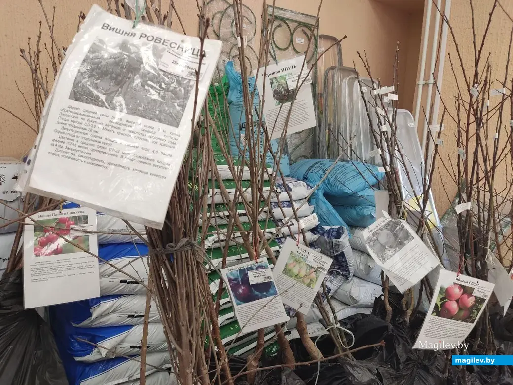 Март 2024 г. Могилев. Во сколько обойдется подготовка к дачному сезону