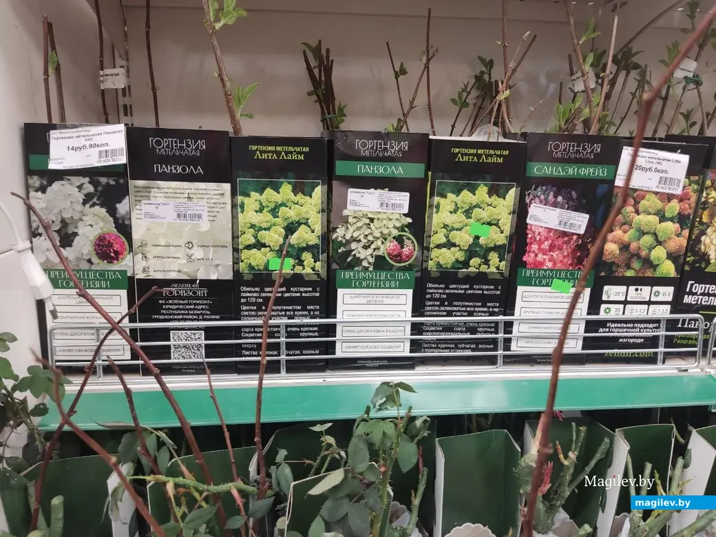 Март 2024 г. Могилев. Во сколько обойдется подготовка к дачному сезону