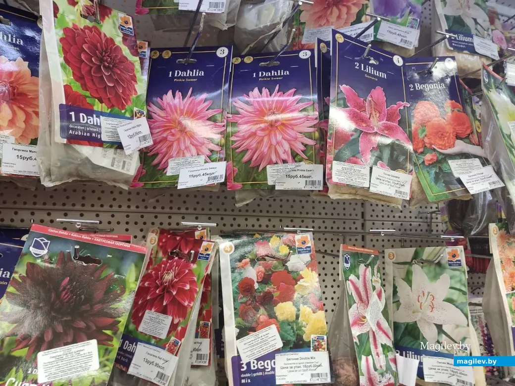 Март 2024 г. Могилев. Во сколько обойдется подготовка к дачному сезону