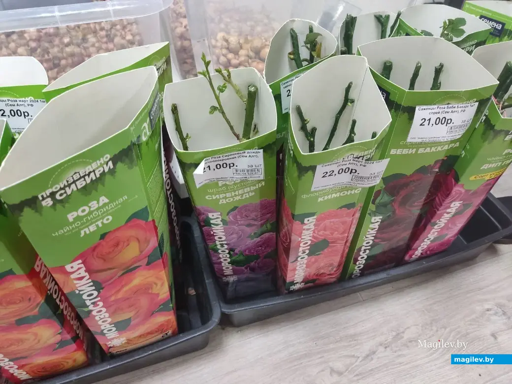 Март 2024 г. Могилев. Во сколько обойдется подготовка к дачному сезону