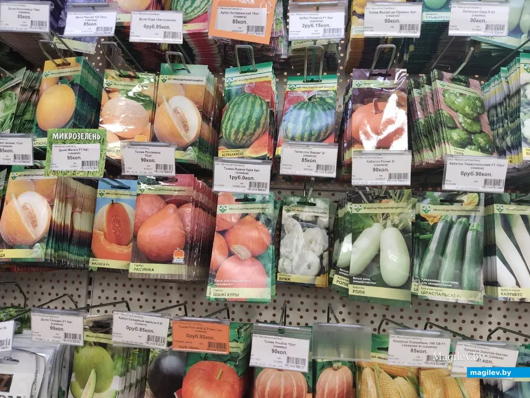 Март 2024 г. Могилев. Во сколько обойдется подготовка к дачному сезону