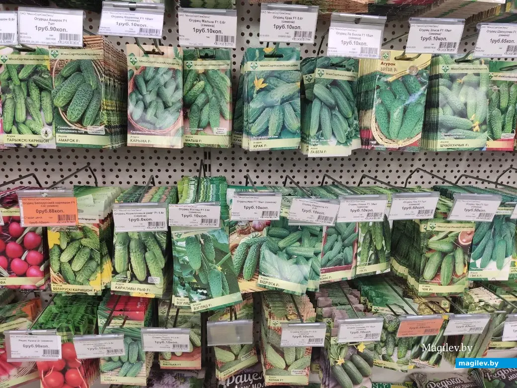 Март 2024 г. Могилев. Во сколько обойдется подготовка к дачному сезону