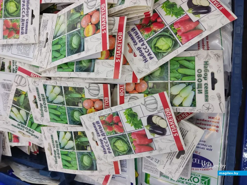 Март 2024 г. Могилев. Во сколько обойдется подготовка к дачному сезону