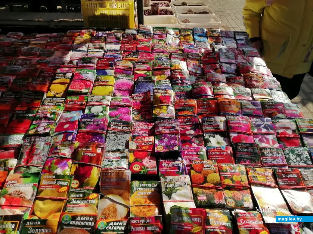 Март 2024 г. Могилев. Во сколько обойдется подготовка к дачному сезону