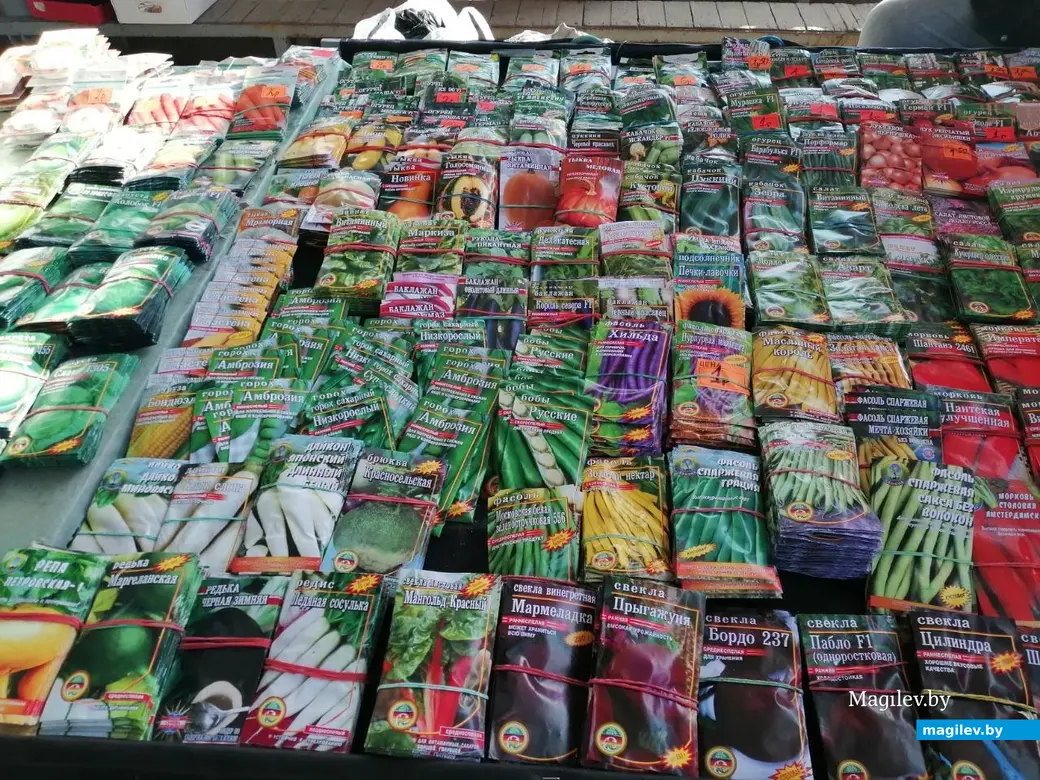 Март 2024 г. Могилев. Во сколько обойдется подготовка к дачному сезону