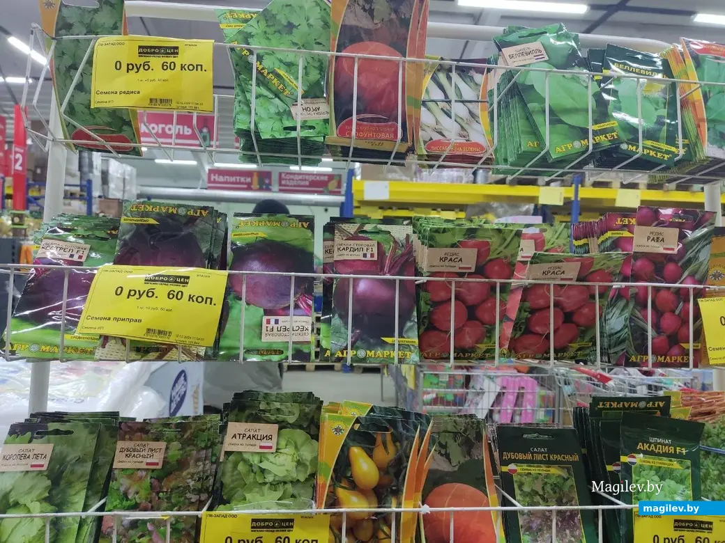 Март 2024 г. Могилев. Во сколько обойдется подготовка к дачному сезону