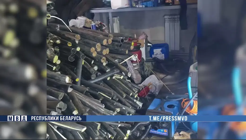 Фото: МВД РБ