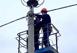 Платформы для гнезд аистов появятся на столбах электропередачи в Беларуси