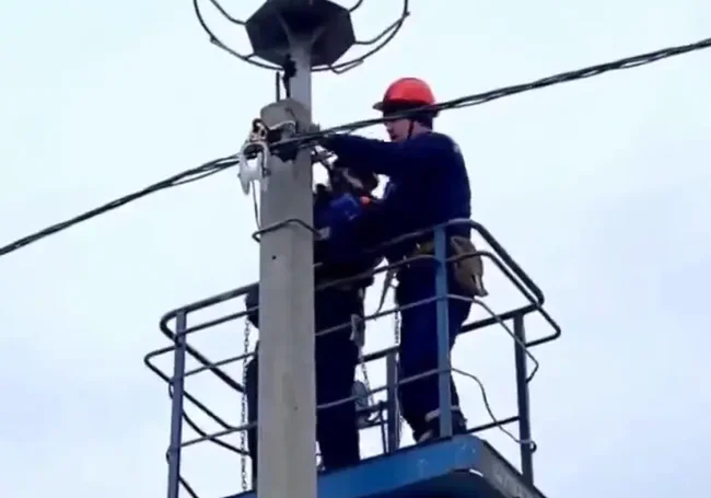 Платформы для гнезд аистов появятся на столбах электропередачи в Беларуси