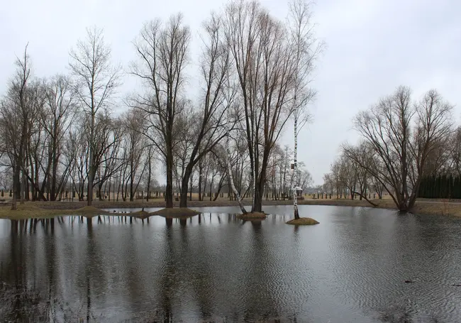 Весна в парке Подниколья Могилева. Фоторепортаж