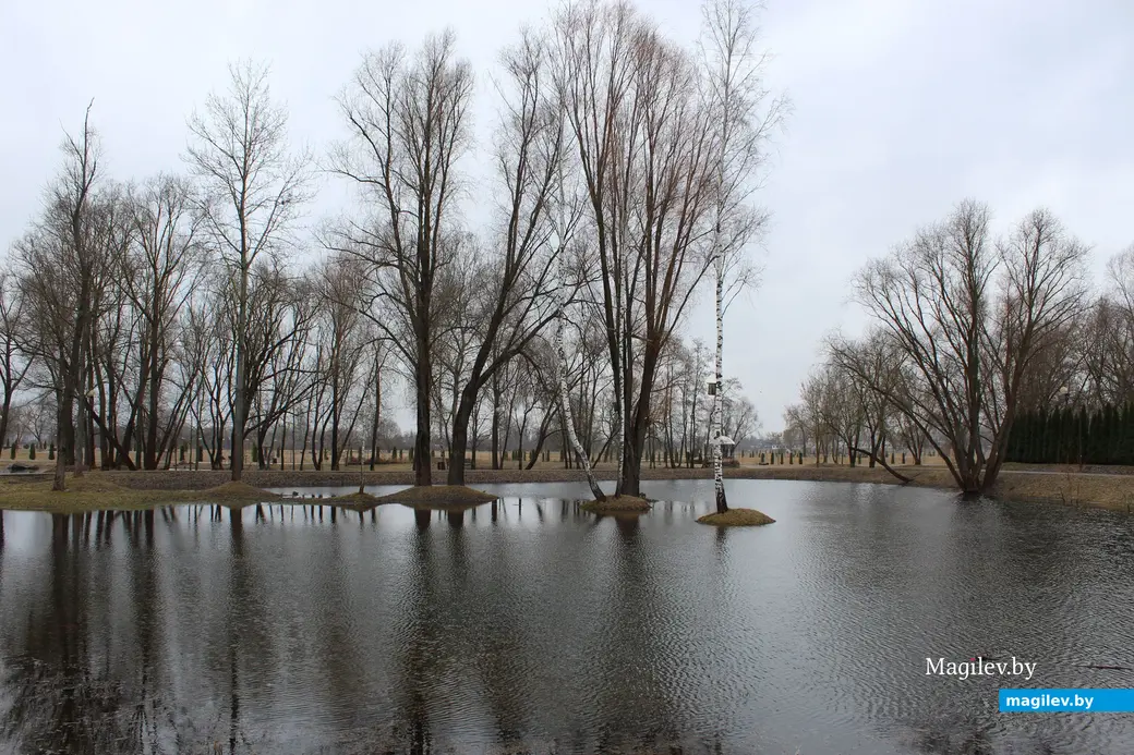 19 марта 2024 года. Могилев. Парк культуры и отдыха Подниколье.