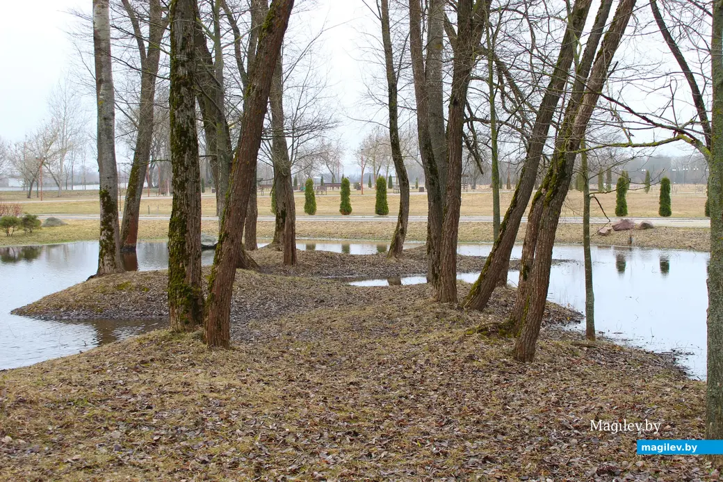 19 марта 2024 года. Могилев. Парк культуры и отдыха Подниколье.