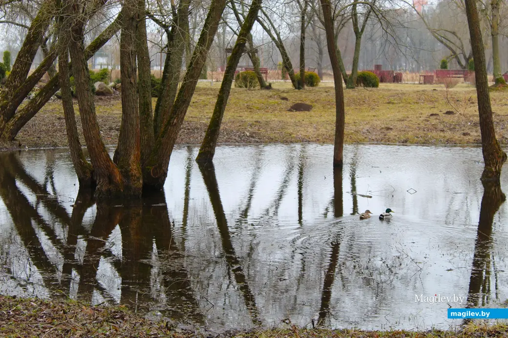 19 марта 2024 года. Могилев. Парк культуры и отдыха Подниколье.