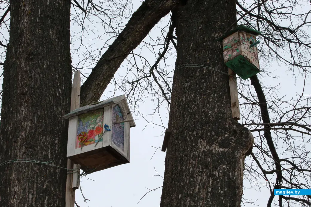 19 марта 2024 года. Могилев. Парк культуры и отдыха Подниколье.