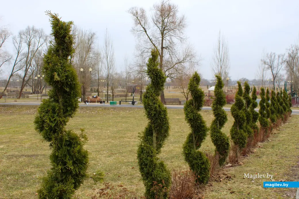 19 марта 2024 года. Могилев. Парк культуры и отдыха Подниколье.