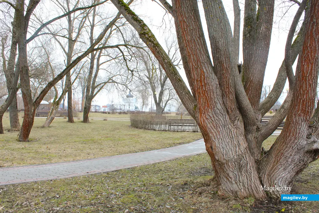 19 марта 2024 года. Могилев. Парк культуры и отдыха Подниколье.