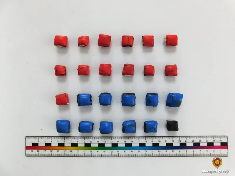 В тайниках правоохранители обнаружили 24 свертка с мефедроном. Фото: управление ГКСЭ по Могилевской области