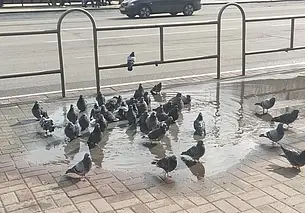 Кратковременные дожди: прогноз погоды на 23-25 марта