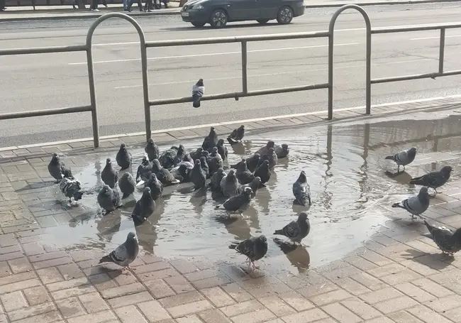 Кратковременные дожди: прогноз погоды на 23-25 марта