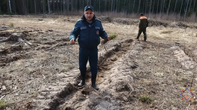 «Неделя леса – 2024»: молодой лес посадили спасатели в Быховском районе Фото: МЧС.