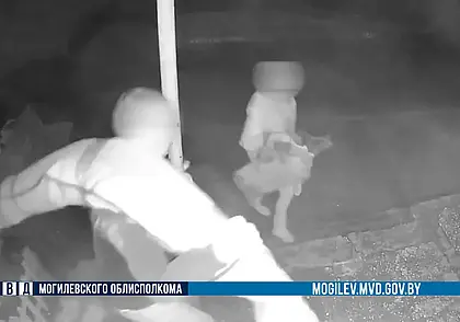 Ворованное сдавали в ломбарды: семейная пара в Могилеве совершала кражи из подвала. Видео