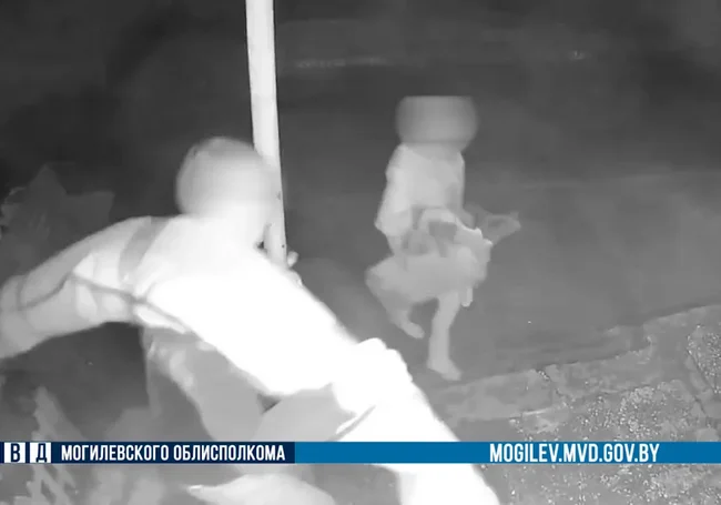 Ворованное сдавали в ломбарды: семейная пара в Могилеве совершала кражи из подвала. Видео