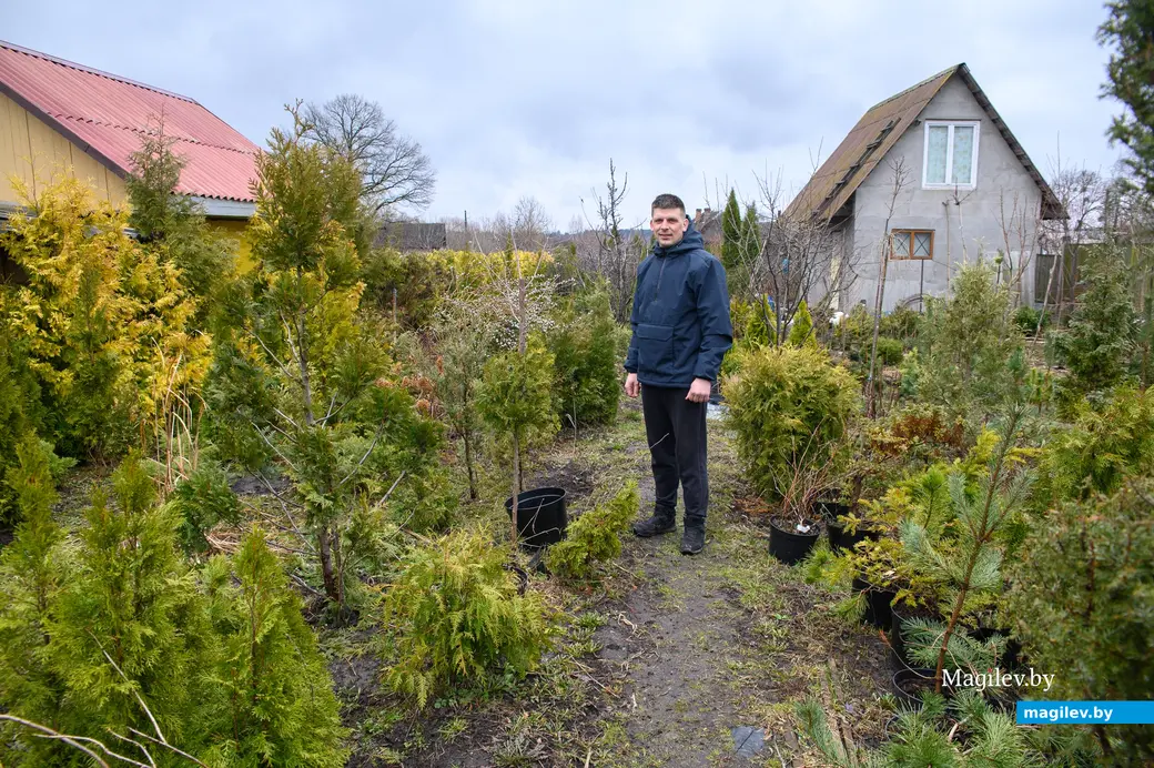 20.03.2024, Бобруйск. Максим Горин выращивает хвойные растения.