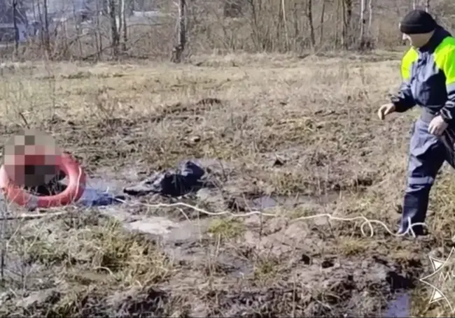 Голова в горшке и увязший в грязи: самые необычные выезды спасателей за последние два дня