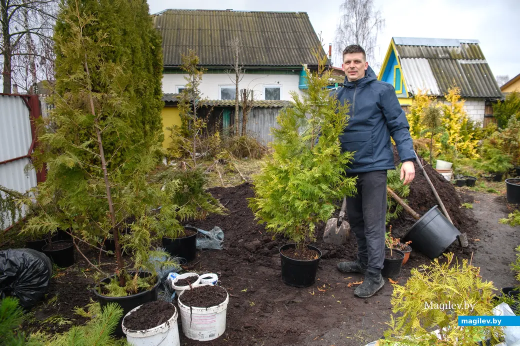 20.03.2024, Бобруйск. Максим Горин выращивает хвойные растения.