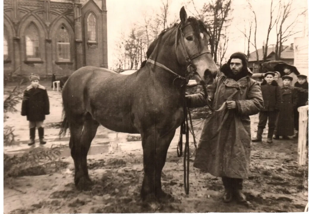 Меркавана, 1930-я-1950-я. Сельскагаспадарчая выстава ля бабруйскага касцёла.