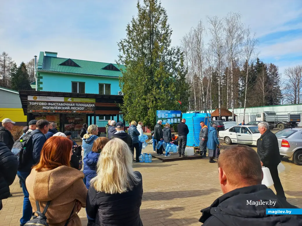 И так же как в детстве меня напои берёзовым соком, берёзовым соком». В  Могилеве процесс в самом разгаре | magilev.by